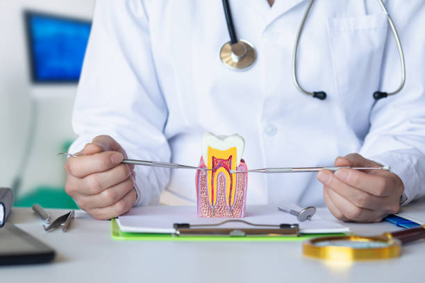 Best Emergency TMJ Treatment in Chetopa, KS